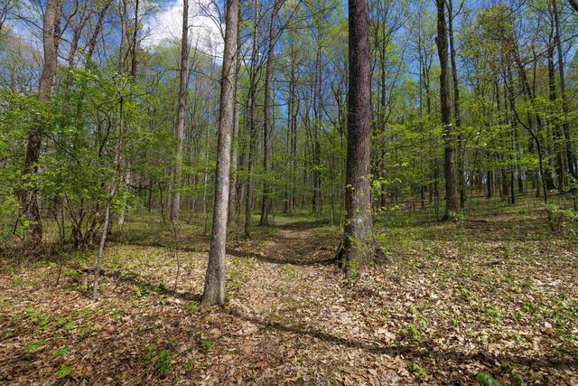 7598 N LEE HWY, Raphine, VA 24472