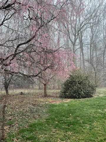 7598 N LEE HWY, Raphine, VA 24472