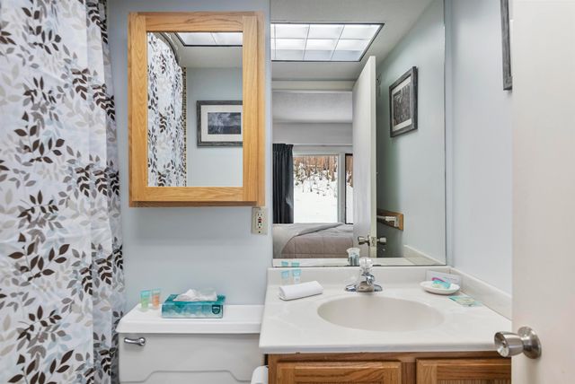 220 Mountainside Drive E203, Stowe, VT 05672