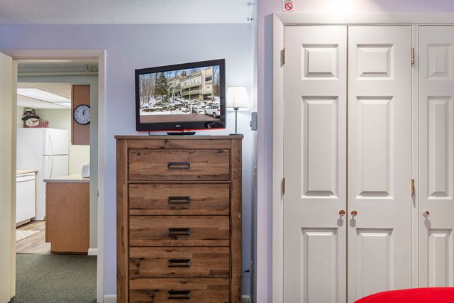 220 Mountainside Drive E203, Stowe, VT 05672