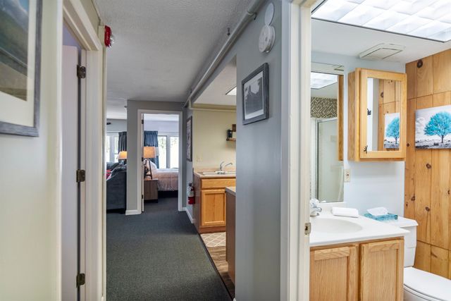 220 Mountainside Drive E203, Stowe, VT 05672