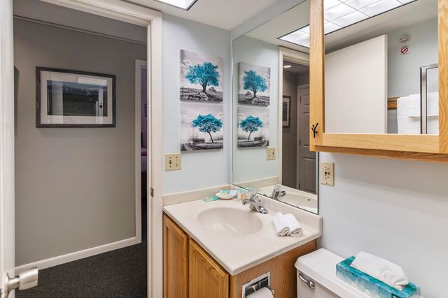 220 Mountainside Drive E203, Stowe, VT 05672