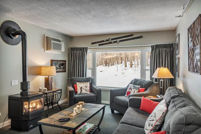 220 Mountainside Drive E203, Stowe, VT 05672