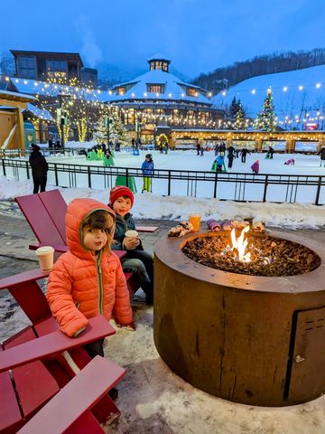 220 Mountainside Drive E203, Stowe, VT 05672