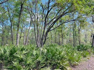 0 NW 30TH STREET, Chiefland, FL 32626