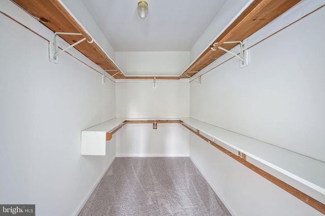 8207 COLISE LN, Spotsylvania, VA 22553