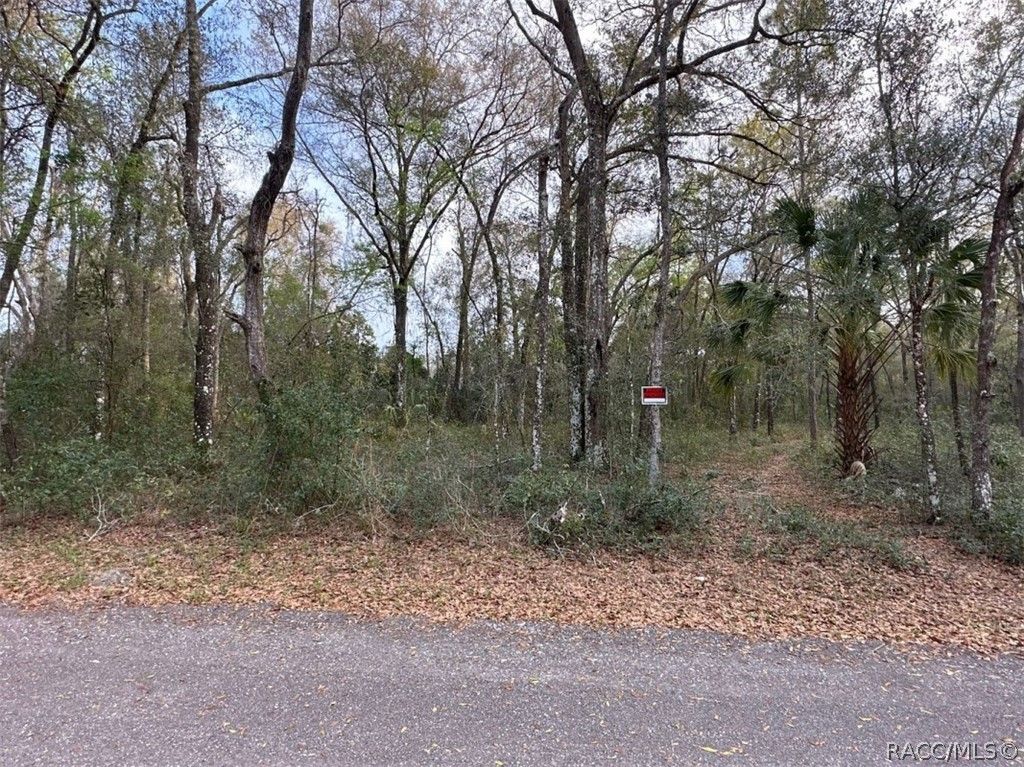 3497 E Lou Lane, Inverness, FL 34453