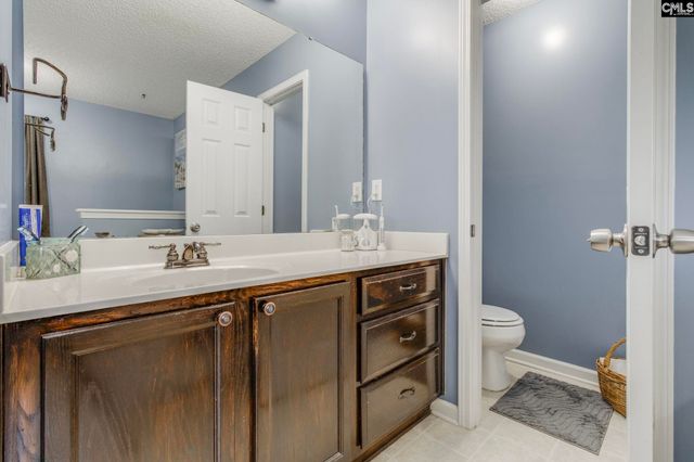 265 Farming Creek Way, Lexington, SC 29072