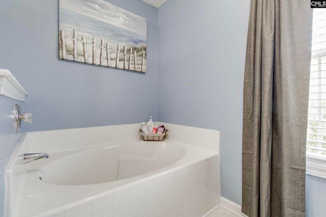 265 Farming Creek Way, Lexington, SC 29072