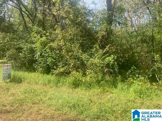 63 JOHNSON DRIVE, Bessemer, AL 35023