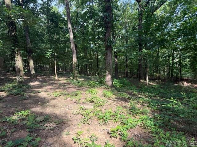 152 Jehovah Jireh, Cabot, AR 72023
