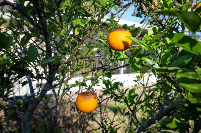 2136 MOHICAN TRAIL, Maitland, FL 32751