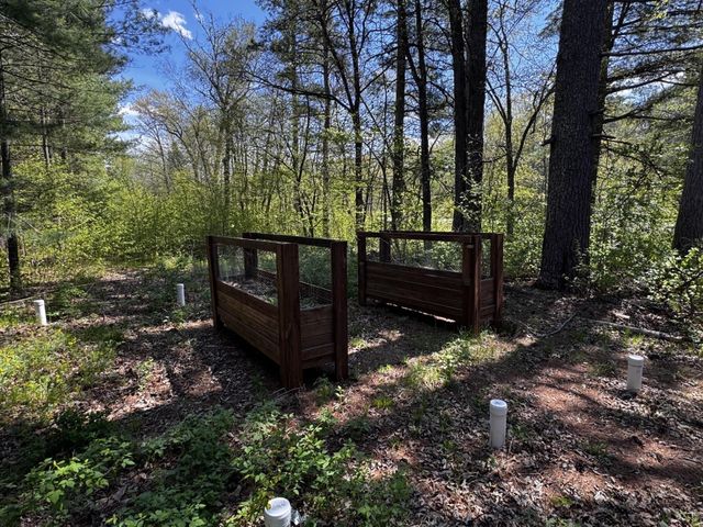 6274 Azalea Road, Motley, MN 56466
