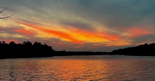 6274 Azalea Road, Motley, MN 56466