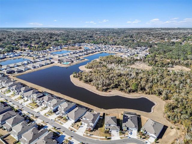 12923 WILLOW GROVE DRIVE, Riverview, FL 33579