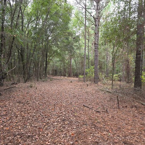 4232 County Road 71, Shorterville, AL 36373