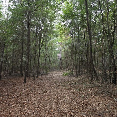 4232 County Road 71, Shorterville, AL 36373