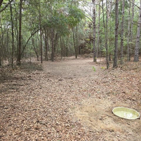 4232 County Road 71, Shorterville, AL 36373