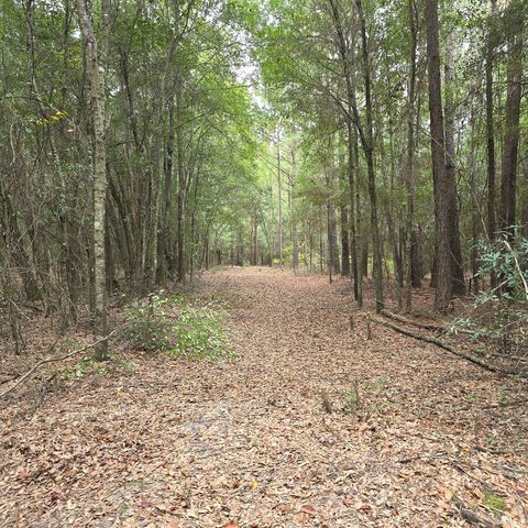 4232 County Road 71, Shorterville, AL 36373