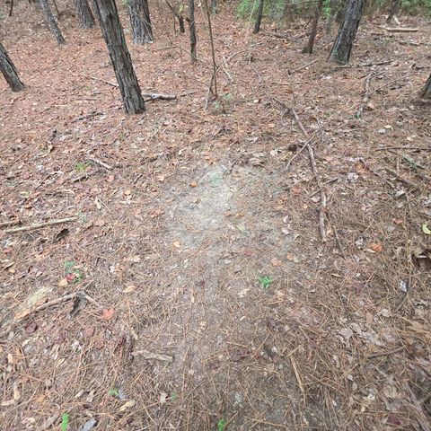 4232 County Road 71, Shorterville, AL 36373