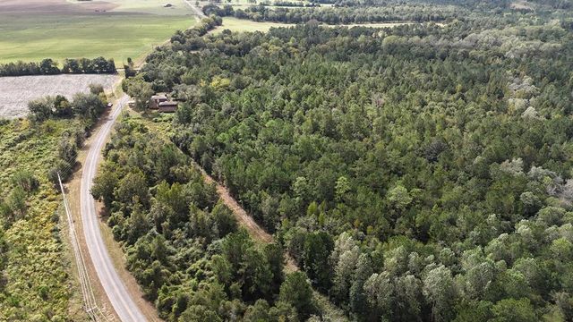 4232 County Road 71, Shorterville, AL 36373