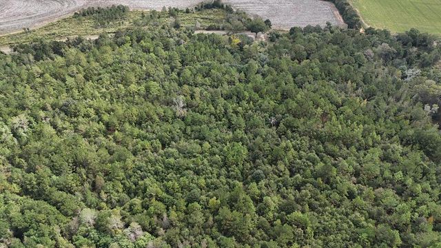 4232 County Road 71, Shorterville, AL 36373