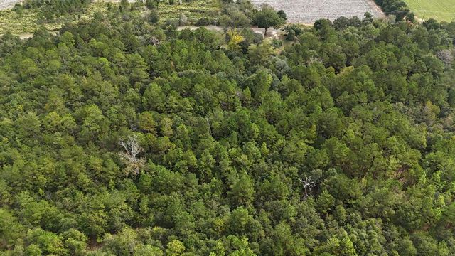 4232 County Road 71, Shorterville, AL 36373