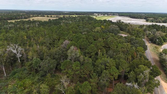 4232 County Road 71, Shorterville, AL 36373