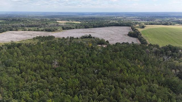 4232 County Road 71, Shorterville, AL 36373