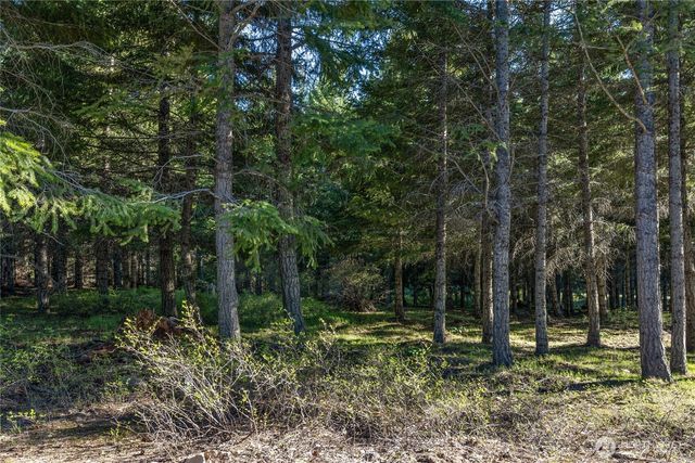 80 Gold Fountain Lane, Cle Elum, WA 98922