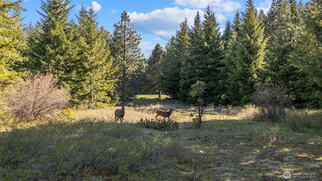 80 Gold Fountain Lane, Cle Elum, WA 98922