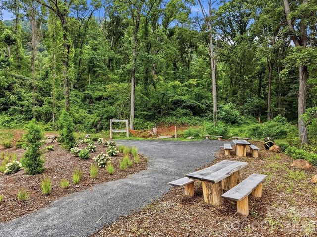 235 Smokey Holler Drive, Asheville, NC 28803