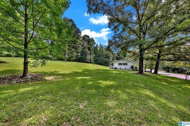 3287 WARRIOR JASPER ROAD, Warrior, AL 35180