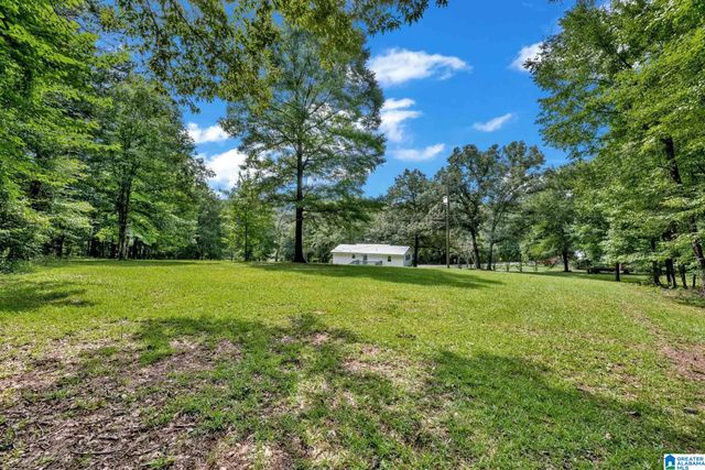 3287 WARRIOR JASPER ROAD, Warrior, AL 35180