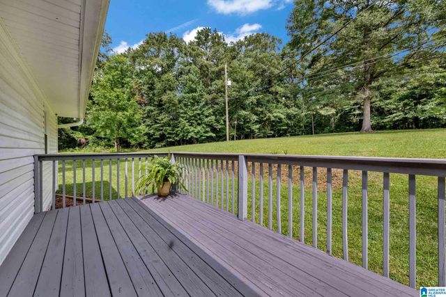 3287 WARRIOR JASPER ROAD, Warrior, AL 35180