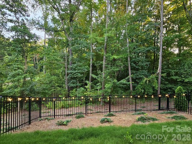 10615 Audubon Ridge Drive, Cornelius, NC 28031