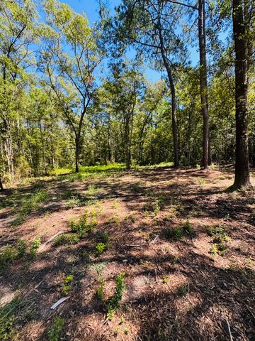 00 Mcdanieltown Road, Ridgeville, SC 29472