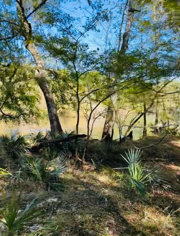 00 Mcdanieltown Road, Ridgeville, SC 29472