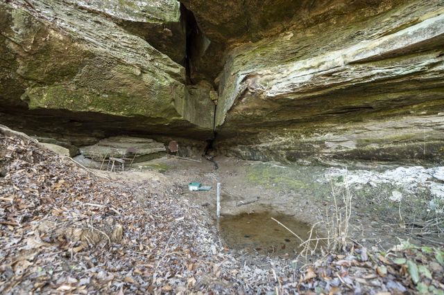 22 Still Hand, Beattyville, KY 41311