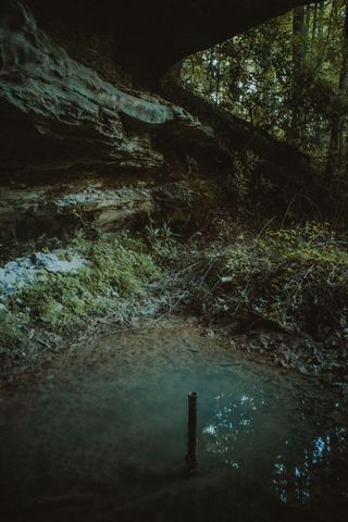 22 Still Hand, Beattyville, KY 41311