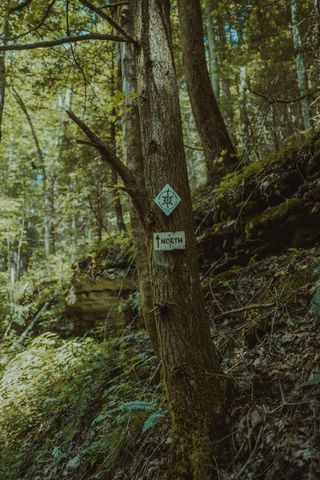 22 Still Hand, Beattyville, KY 41311