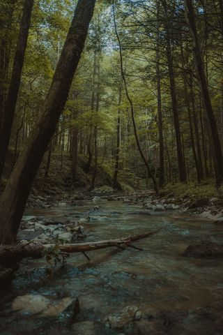 22 Still Hand, Beattyville, KY 41311