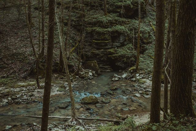 22 Still Hand, Beattyville, KY 41311