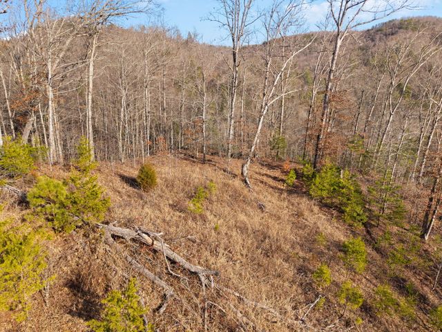 22 Still Hand, Beattyville, KY 41311