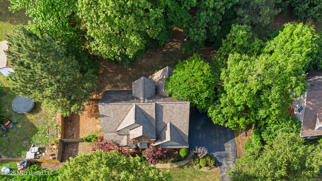 2110 Tall Tree Drive, Horn Lake, MS 38637 — photo 4