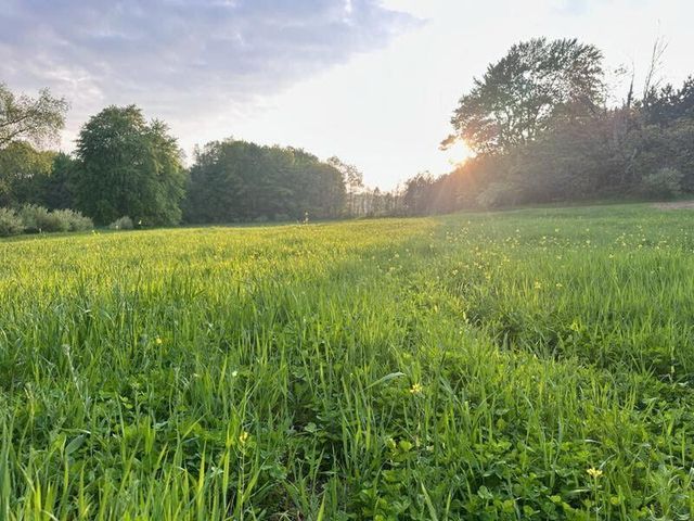 6015 S 124th Avenue, Otto Twp, MI 49452