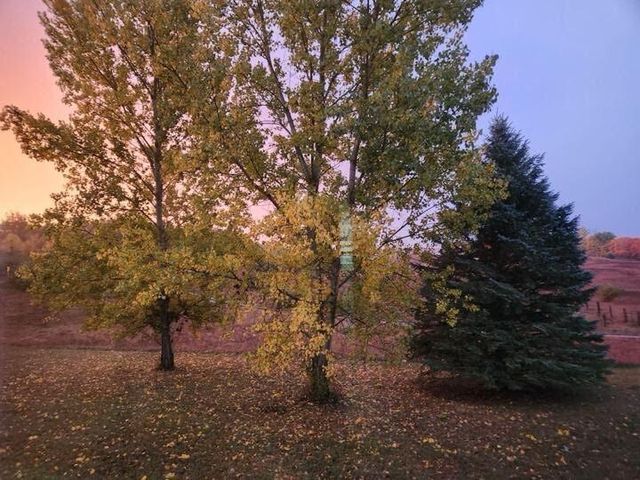 6015 S 124th Avenue, Otto Twp, MI 49452