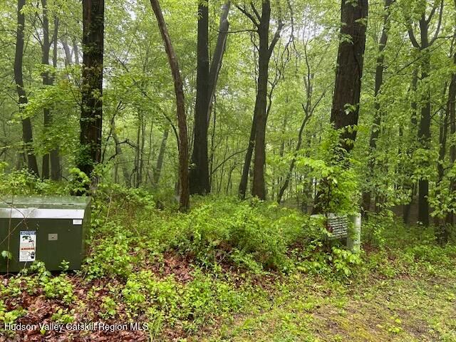 5 Elbow Lane, Highland, NY 12528