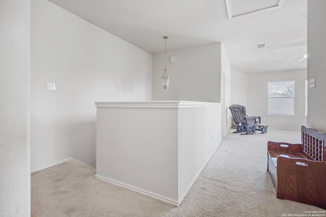 1258 Sandhill Crane, New Braunfels, TX 78130