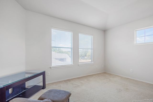 1258 Sandhill Crane, New Braunfels, TX 78130